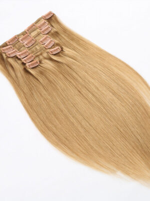 Clip-in Hair